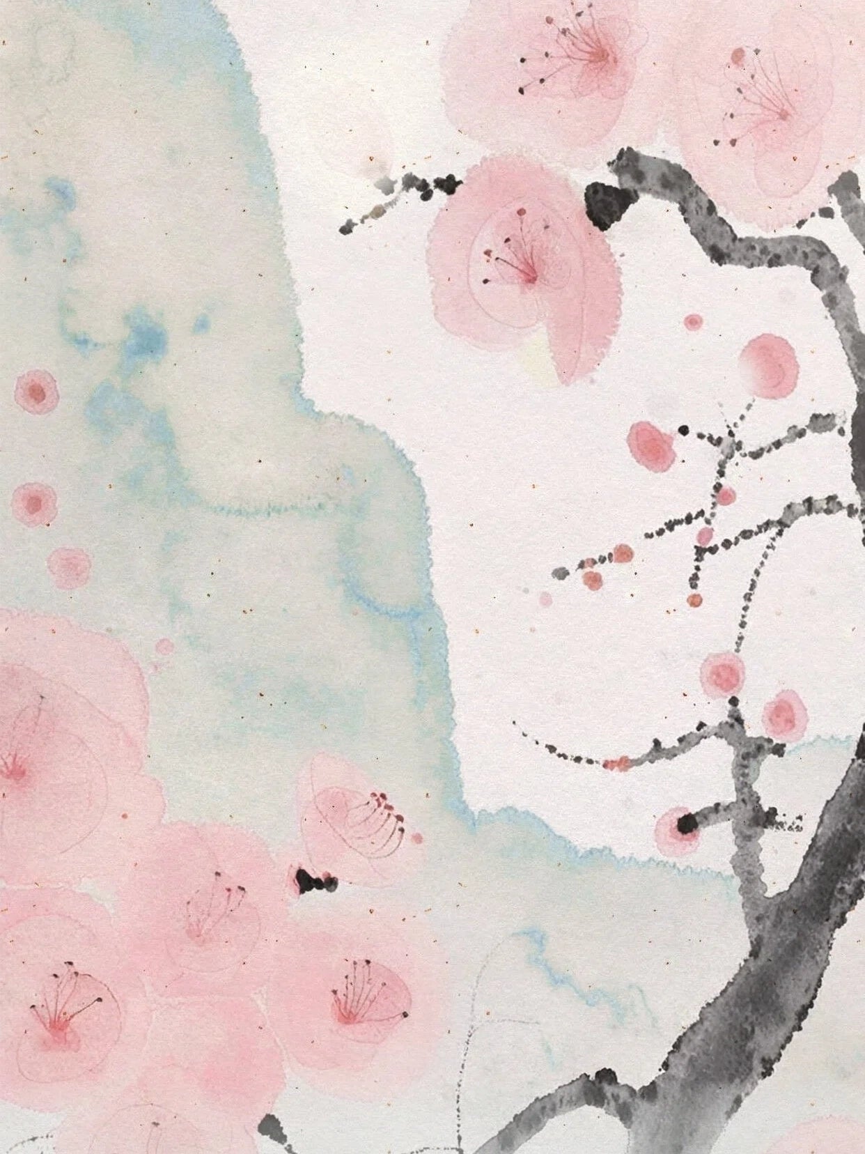 S｜Random Free Gift