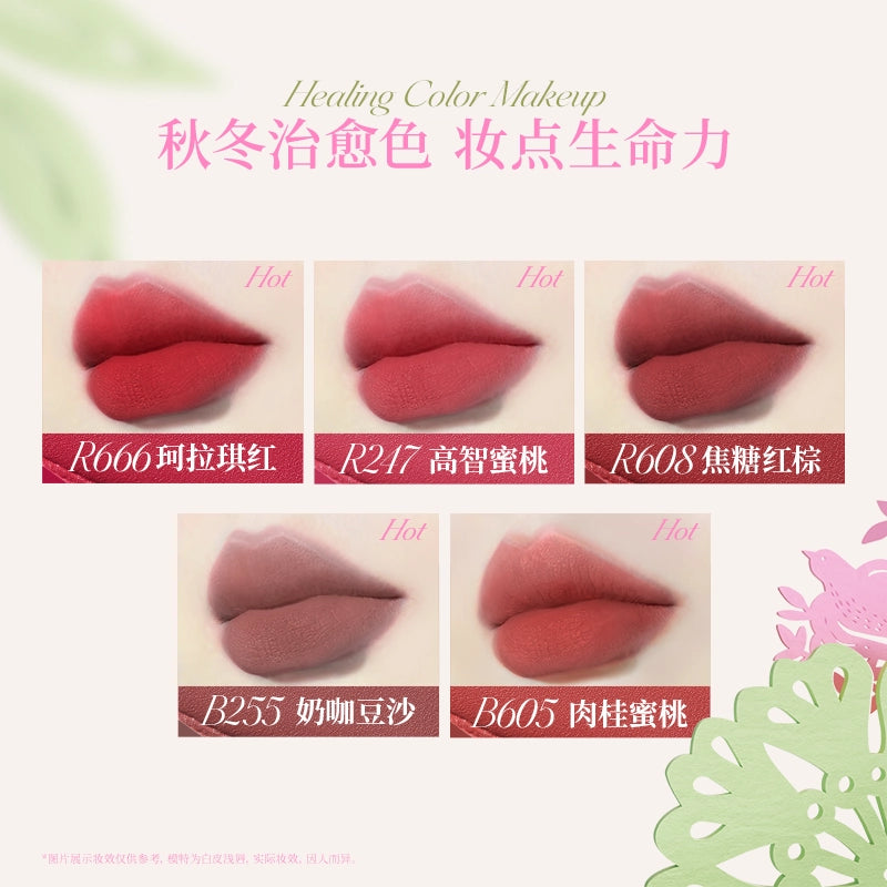 Vernis à lèvres Colorkey Embrace Nature Airy Velvet 3 g
