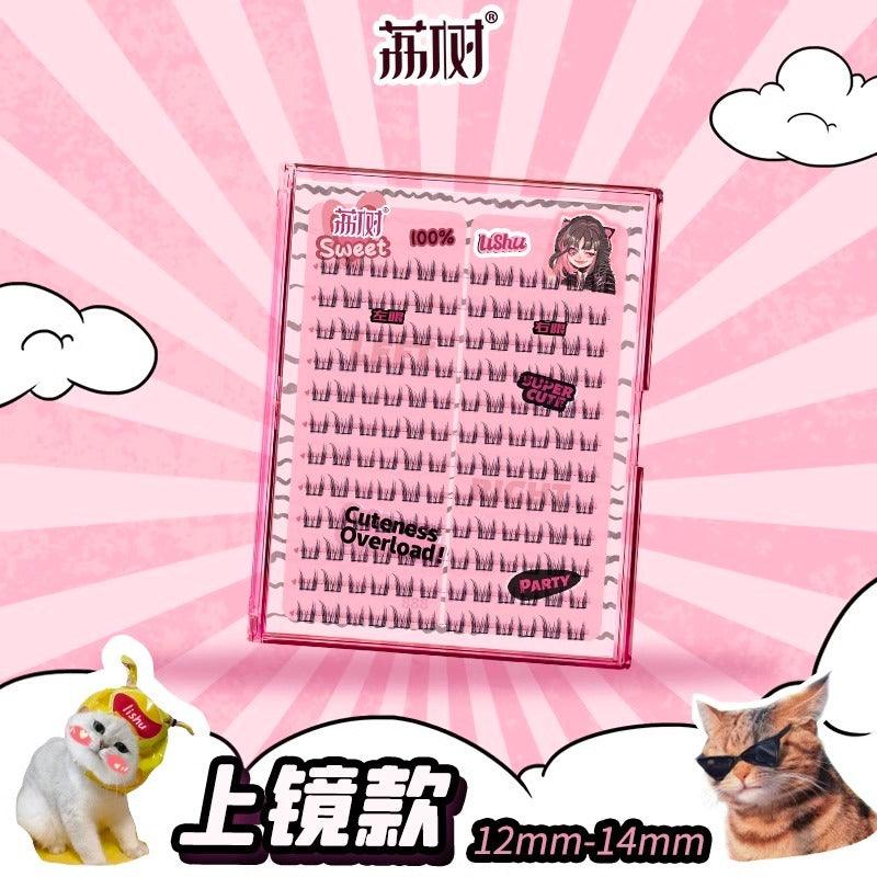 Livre de faux cils LISHU A Plus 144